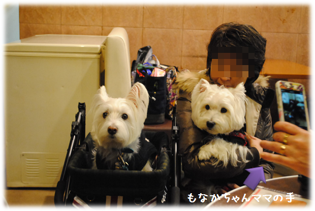 b0242873_23185574.png