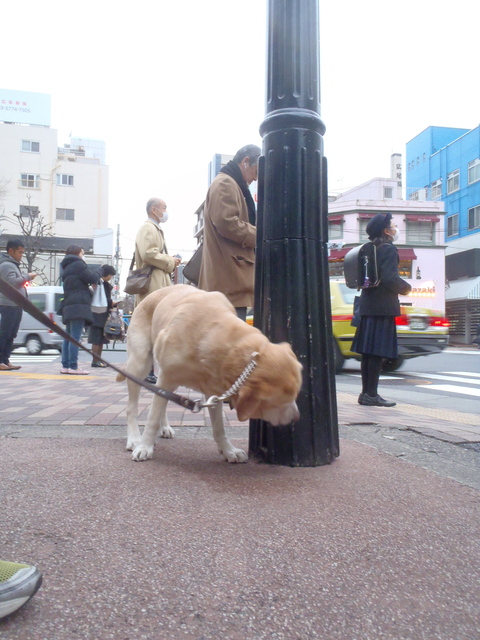 有栖川界隈_f0052277_2592241.jpg