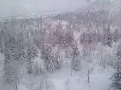 d0262778_1758987.jpg