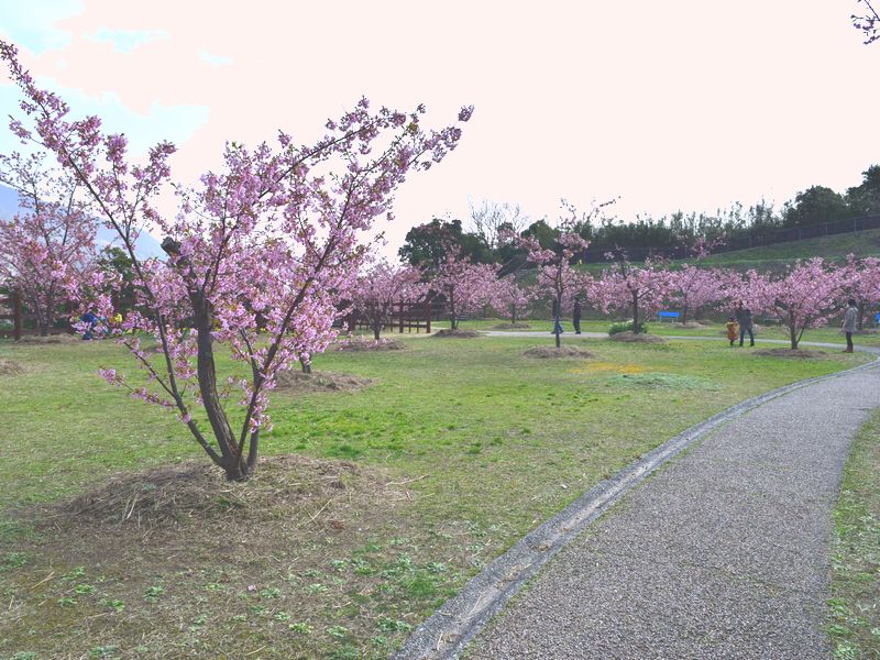 d0061579_1465333.jpg