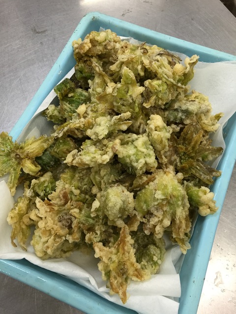 フキノトウ見つけた。_d0182179_1911183.jpg