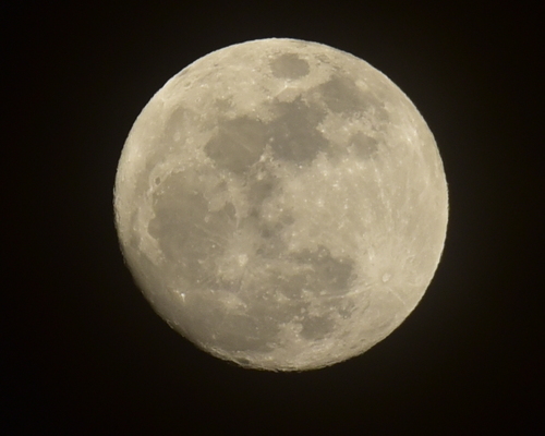 2015年3月_c0176183_20495948.jpg