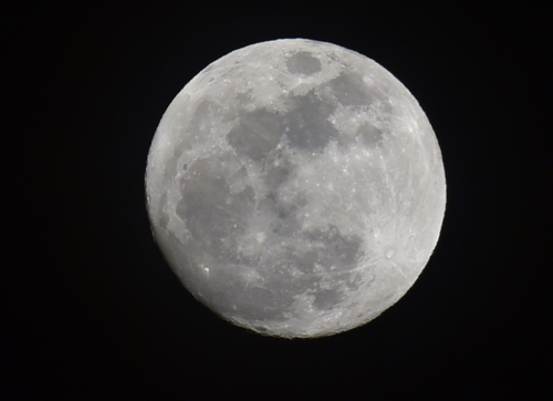 2015年3月_c0176183_20502496.jpg