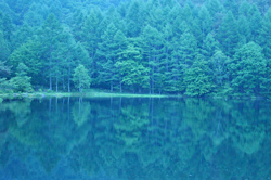 c0197386_00889.jpg