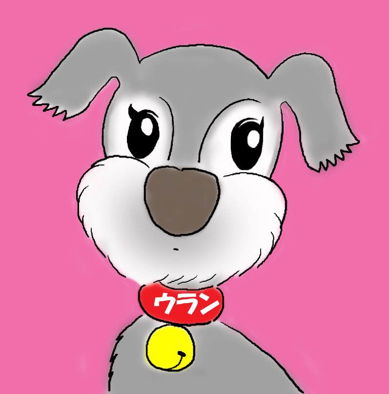サプライズ_a0333195_21082168.png