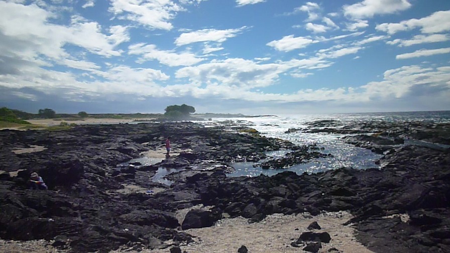 f0011498_1348045.jpg