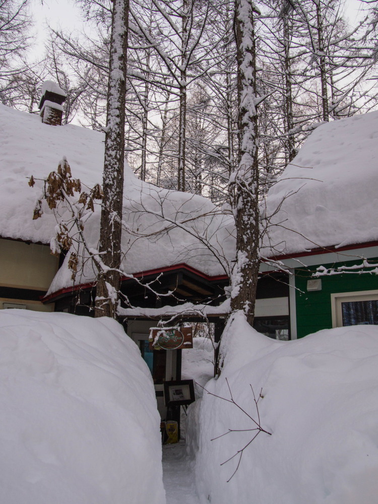 中札内村に来て８年・・いままで最高の積雪量になってます。_f0276498_23091606.jpg