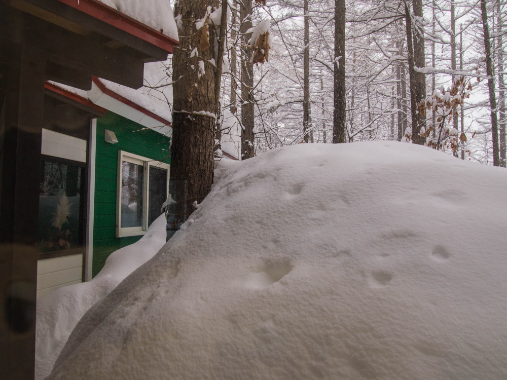 中札内村に来て８年・・いままで最高の積雪量になってます。_f0276498_23092773.jpg