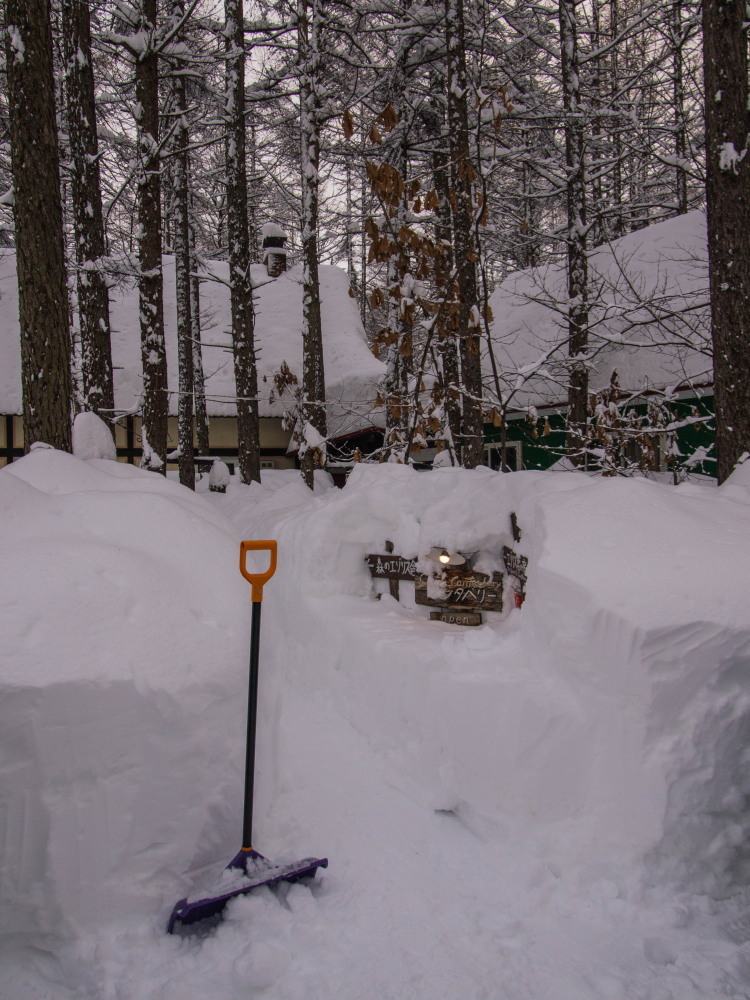 中札内村に来て８年・・いままで最高の積雪量になってます。_f0276498_23101816.jpg