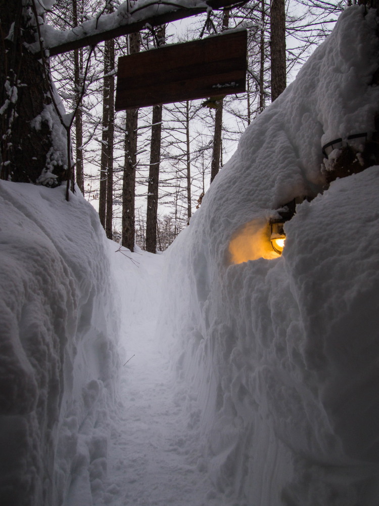 中札内村に来て８年・・いままで最高の積雪量になってます。_f0276498_23103226.jpg