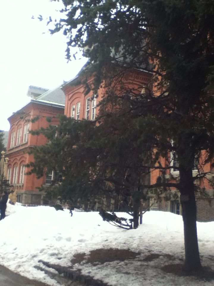 e0322201_1048297.jpg
