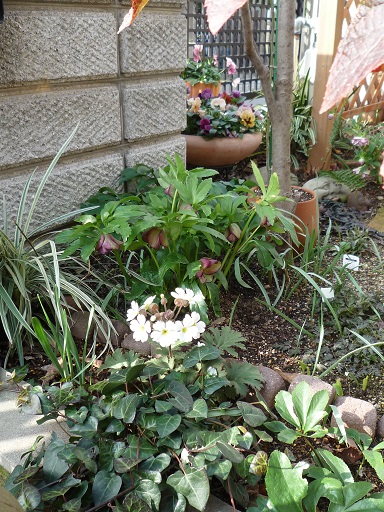 e0234004_2044368.jpg