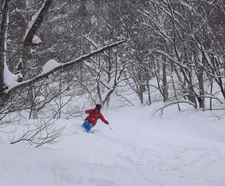 斑尾高原タングラムで粉雪を堪能する_c0242406_17503867.jpg