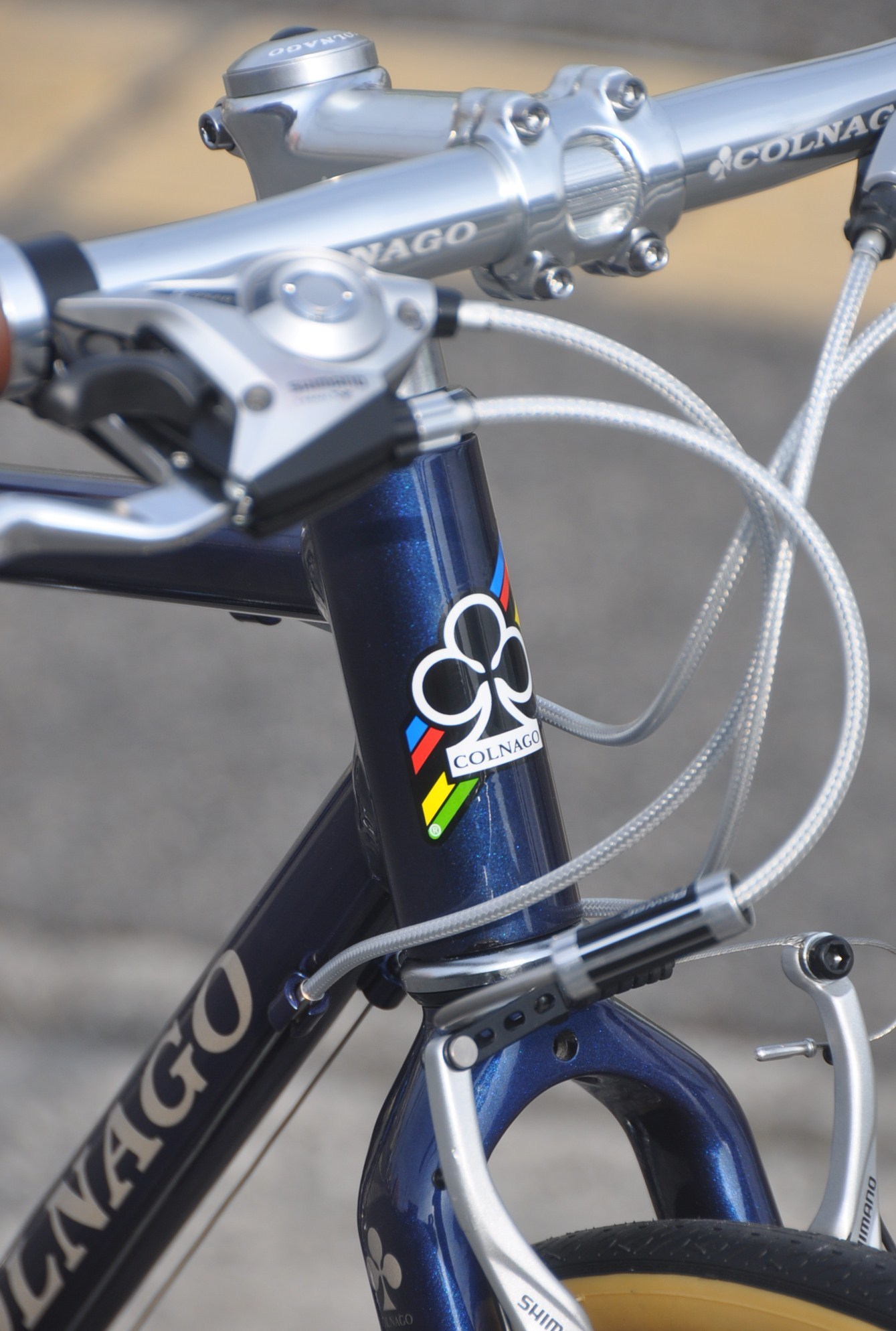COLNAGO  　Biscotti_b0246207_09042686.jpg