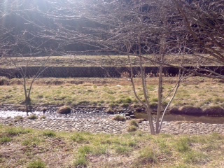 栃木に出かけました_c0200314_8482321.jpg