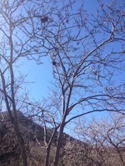 栃木に出かけました_c0200314_8503140.jpg