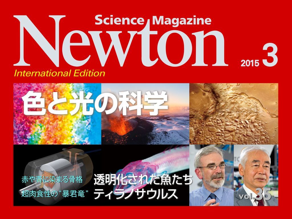 インスタントラーメン記念日 ニュートン3月号に骨格標本_c0025115_19203559.jpg
