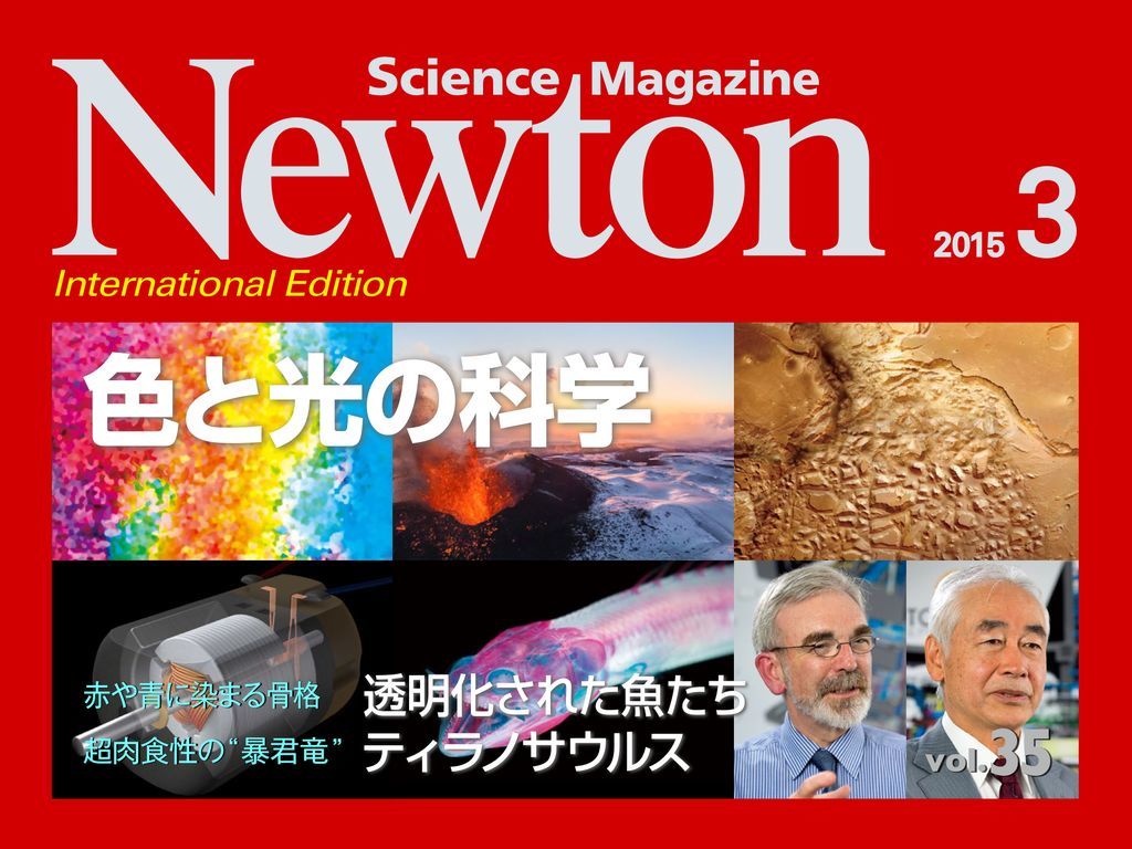 インスタントラーメン記念日　ニュートン3月号に骨格標本_c0025115_19203559.jpg