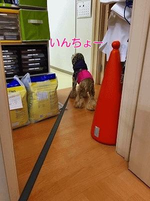 f0326925_22462535.gif