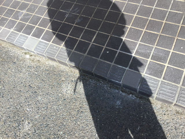 凍結被害の補修_f0031037_1912168.jpg