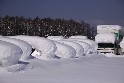 「雪かき体験ツアー」募集したいなぁ 3月5日_f0113639_18333558.jpg