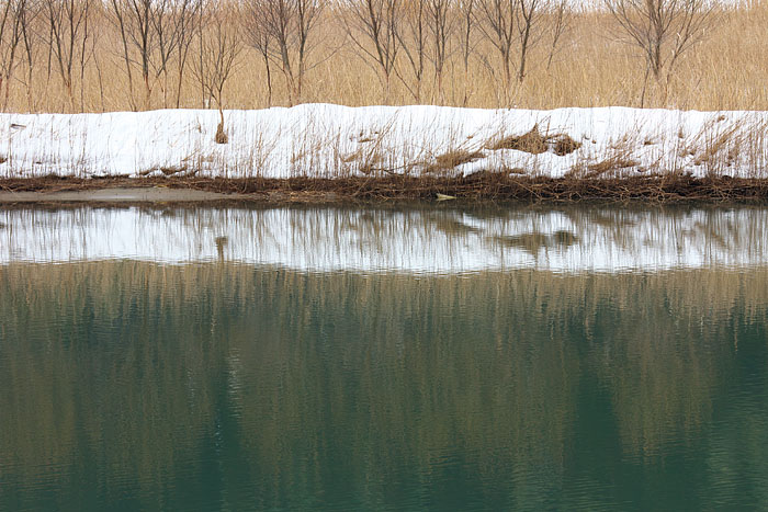 c0067040_23432757.jpg