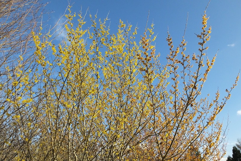 b0236251_14114891.jpg