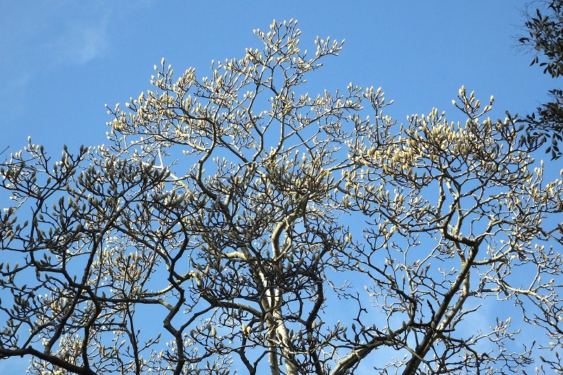 b0236251_1462135.jpg