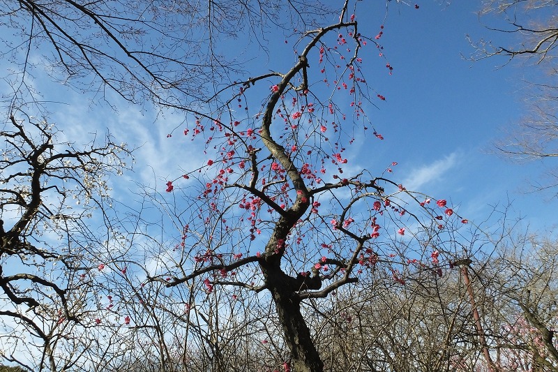 b0236251_1485262.jpg