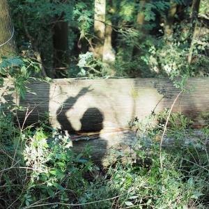 e0014553_11133664.jpg