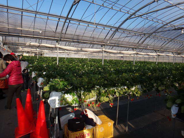 c0155364_37843.jpg