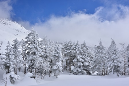 春と冬の旅　2/27～3/2　　（冬）　蓼科の雪景色_c0303868_456568.jpg