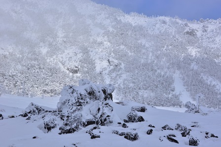 春と冬の旅　2/27～3/2　　（冬）　蓼科の雪景色_c0303868_5212867.jpg