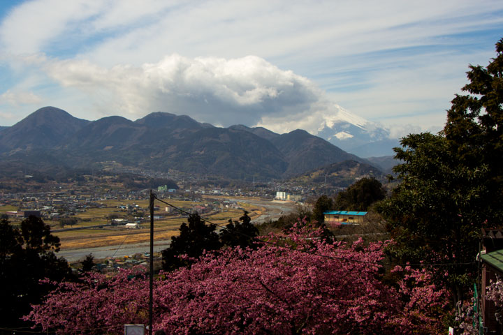 b0041473_94912.jpg