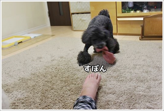 くつした。_b0111376_11532530.jpg