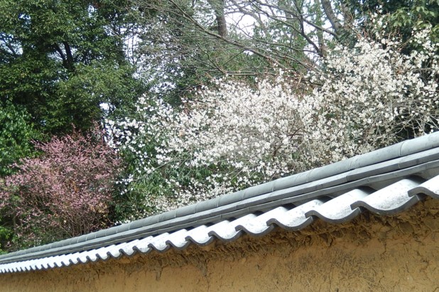 c0144185_1114997.jpg