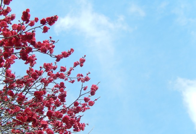 c0144185_11152559.jpg