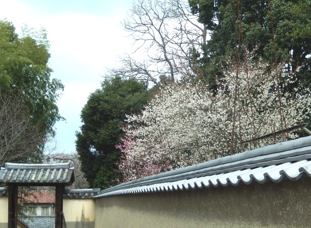 c0144185_11215267.jpg