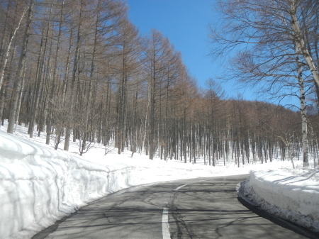 e0120896_21375615.jpg