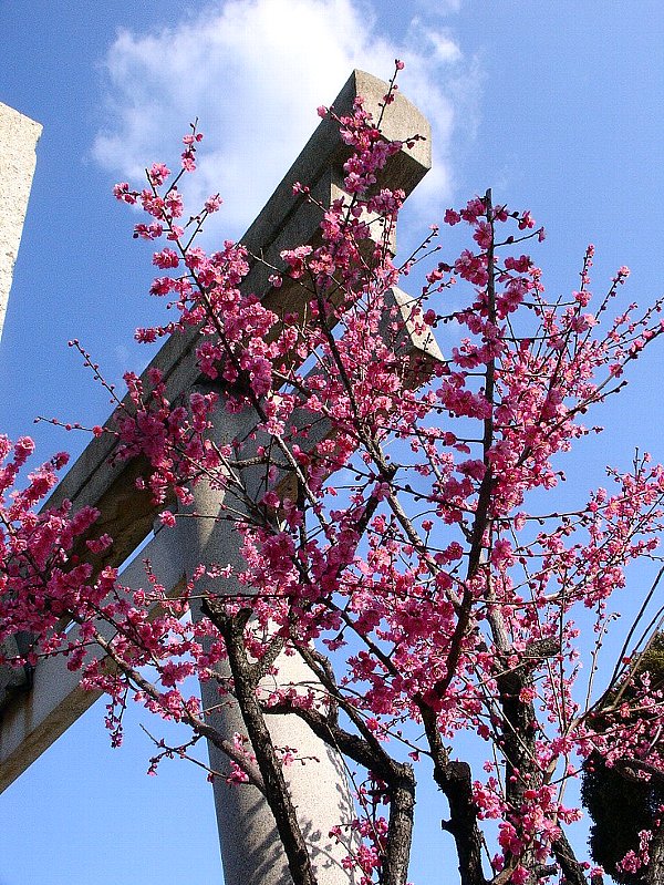a0031000_1014342.jpg