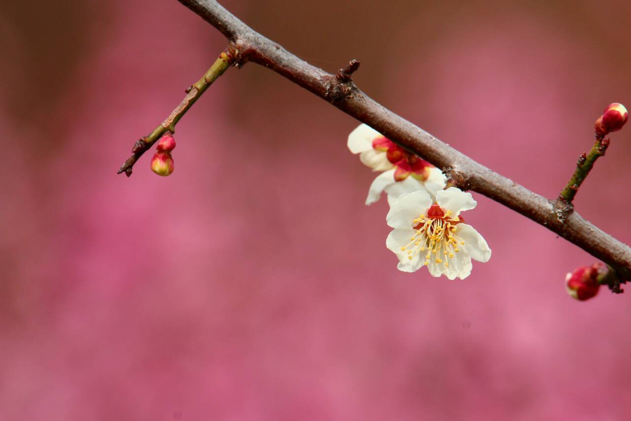 a0327600_20442978.jpg