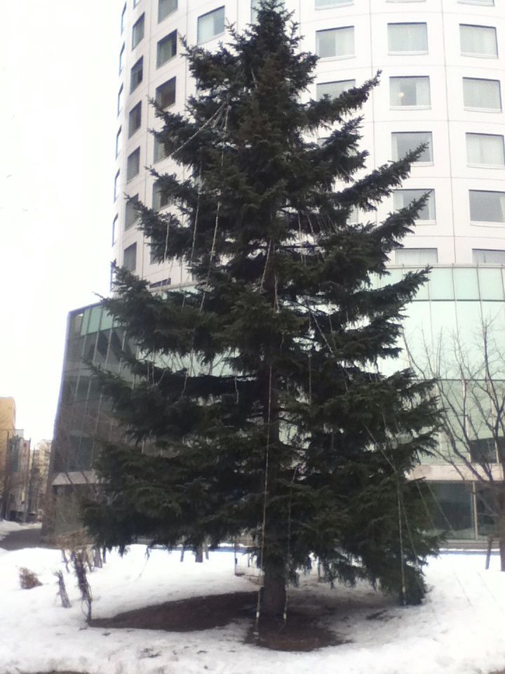 e0322201_8543781.jpg