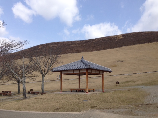 1・2・3_a0326106_20465193.jpg