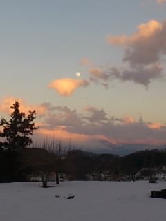 b0028109_16291359.jpg