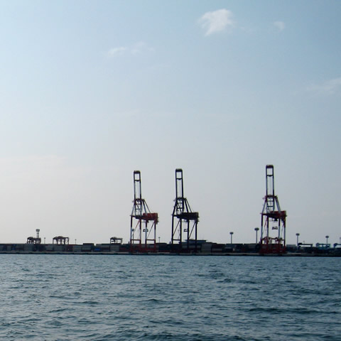 a0082221_1084219.jpg