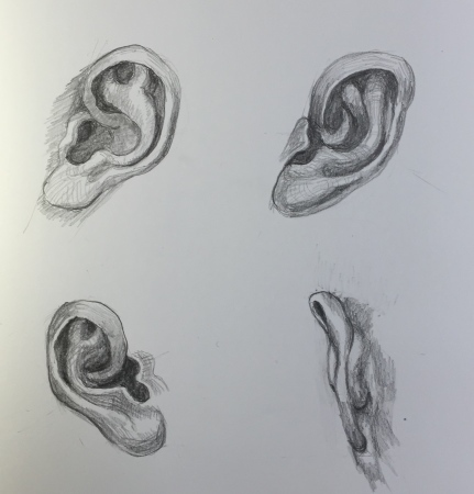 鉛筆デッサン 耳の練習 風と旅人 絵画編