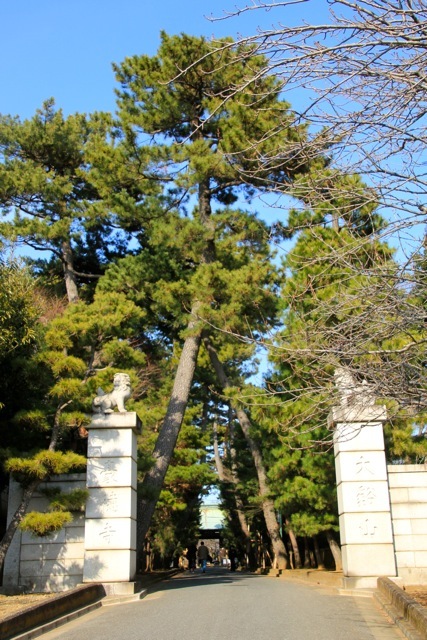 【豪徳寺】_f0348831_21473808.jpg