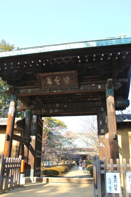 【豪徳寺】_f0348831_21475316.jpg