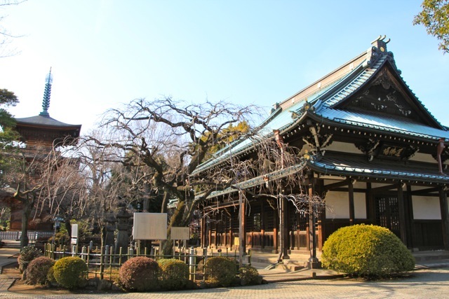 【豪徳寺】_f0348831_21512280.jpg