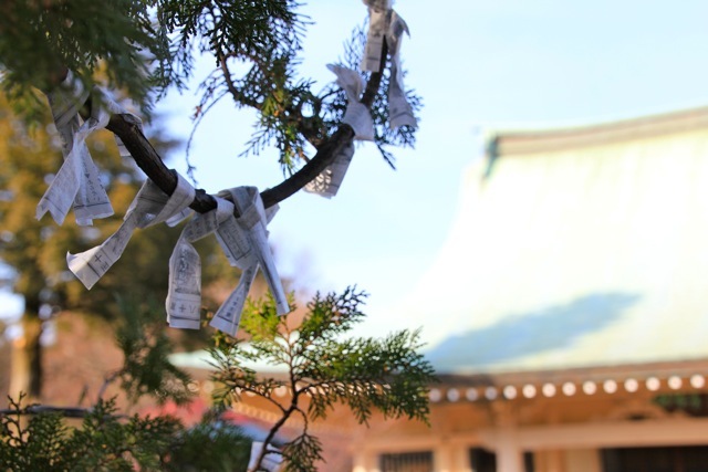 【豪徳寺】_f0348831_21543386.jpg